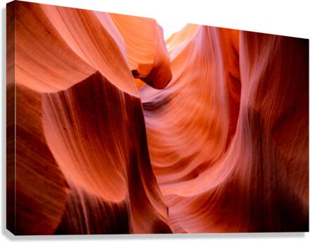 Red Waves  Canvas Print