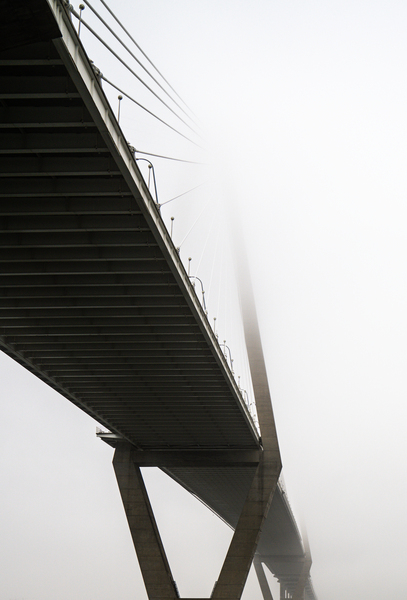 Bridge to Nowhere by Steve Young
