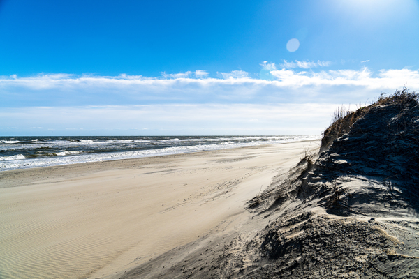 Paradise on Earth by Steve Young