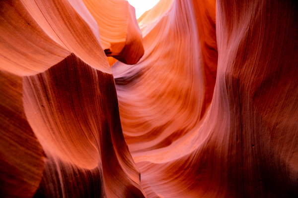 Red Waves by Steve Young