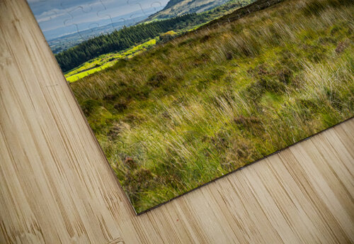 Out Yonder Steve Young puzzle