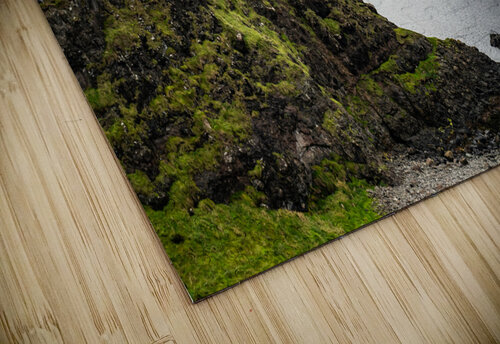 Moody Ireland Steve Young puzzle