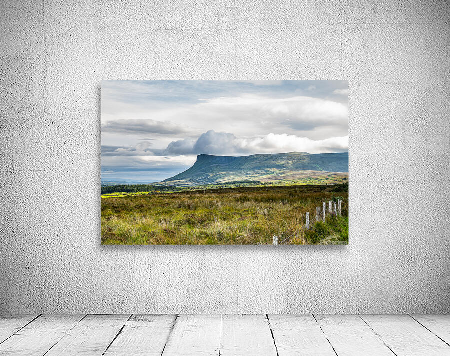 Out Yonder Wall Preview