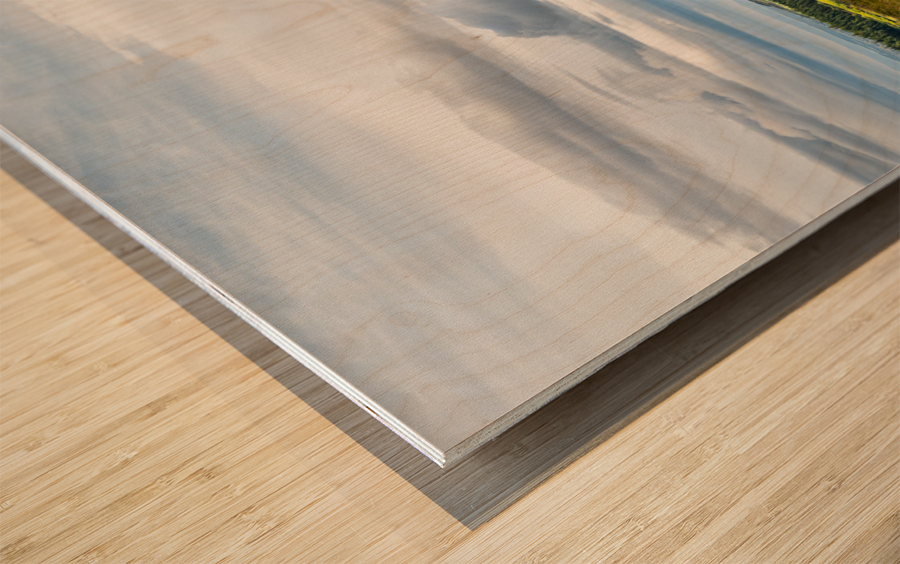 Out Yonder Wood print